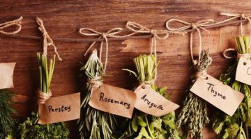 Banho de Ervas  para prote��o Espiritual