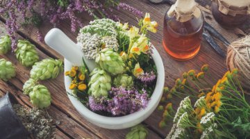 O poder das Ervas em nossas vidas