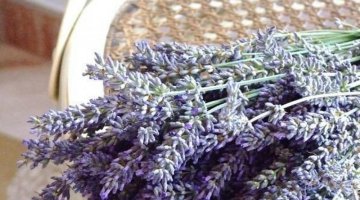 gua de lenol e travesseiro de lavanda.