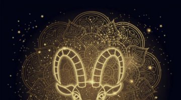 Previs�es 2026 para o Signo de Capric�rnio